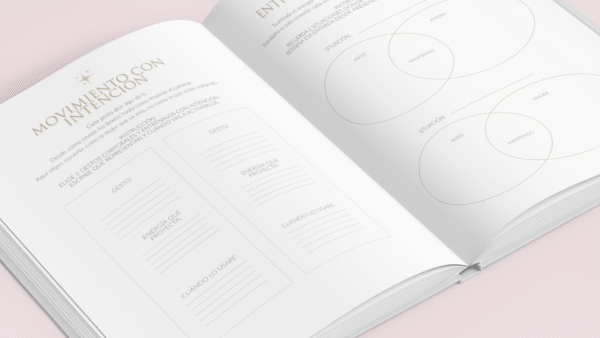 Reborn The Workbook