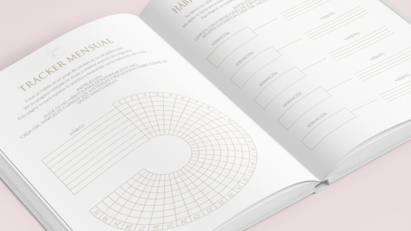 Reborn The Workbook