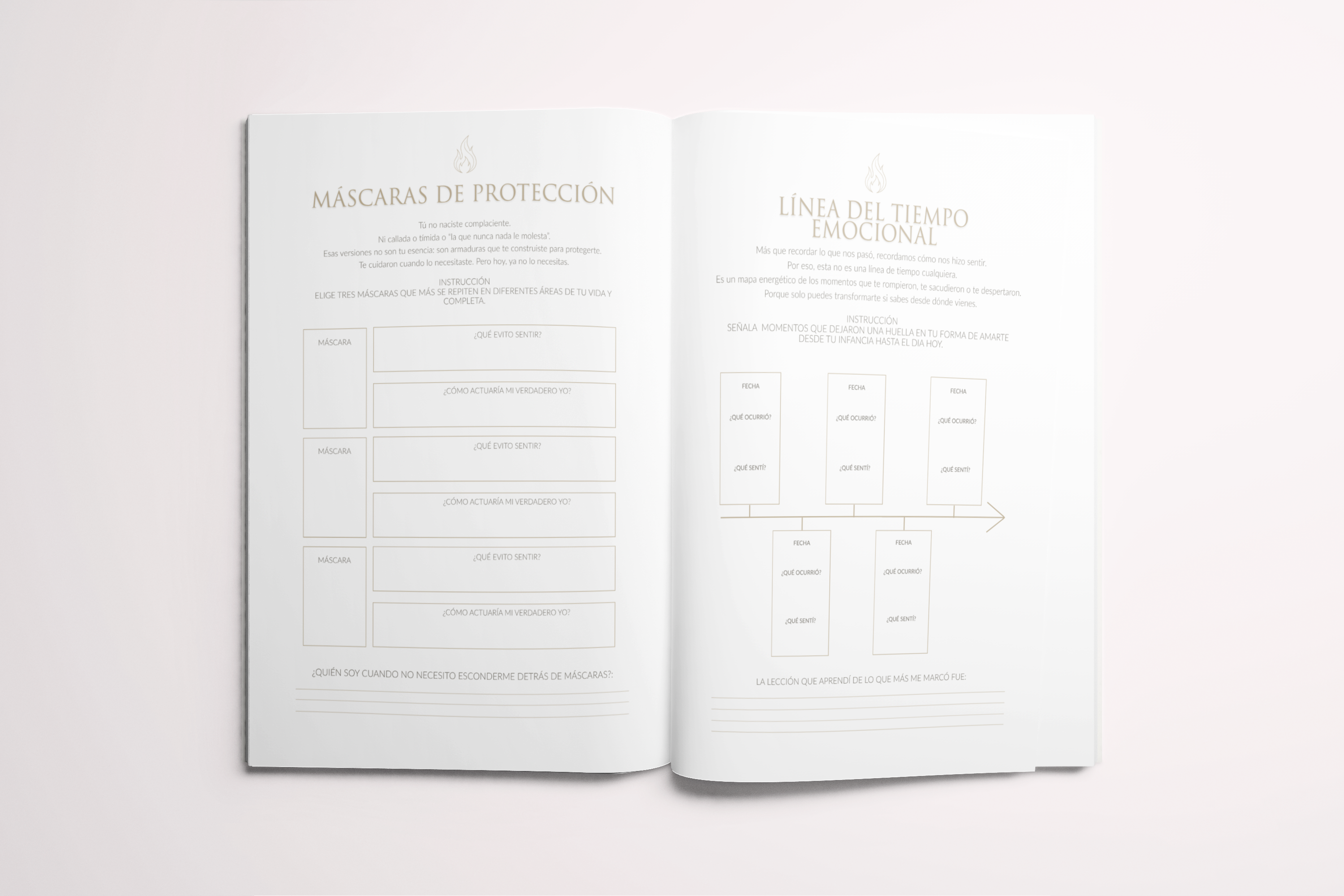 Reborn The Workbook