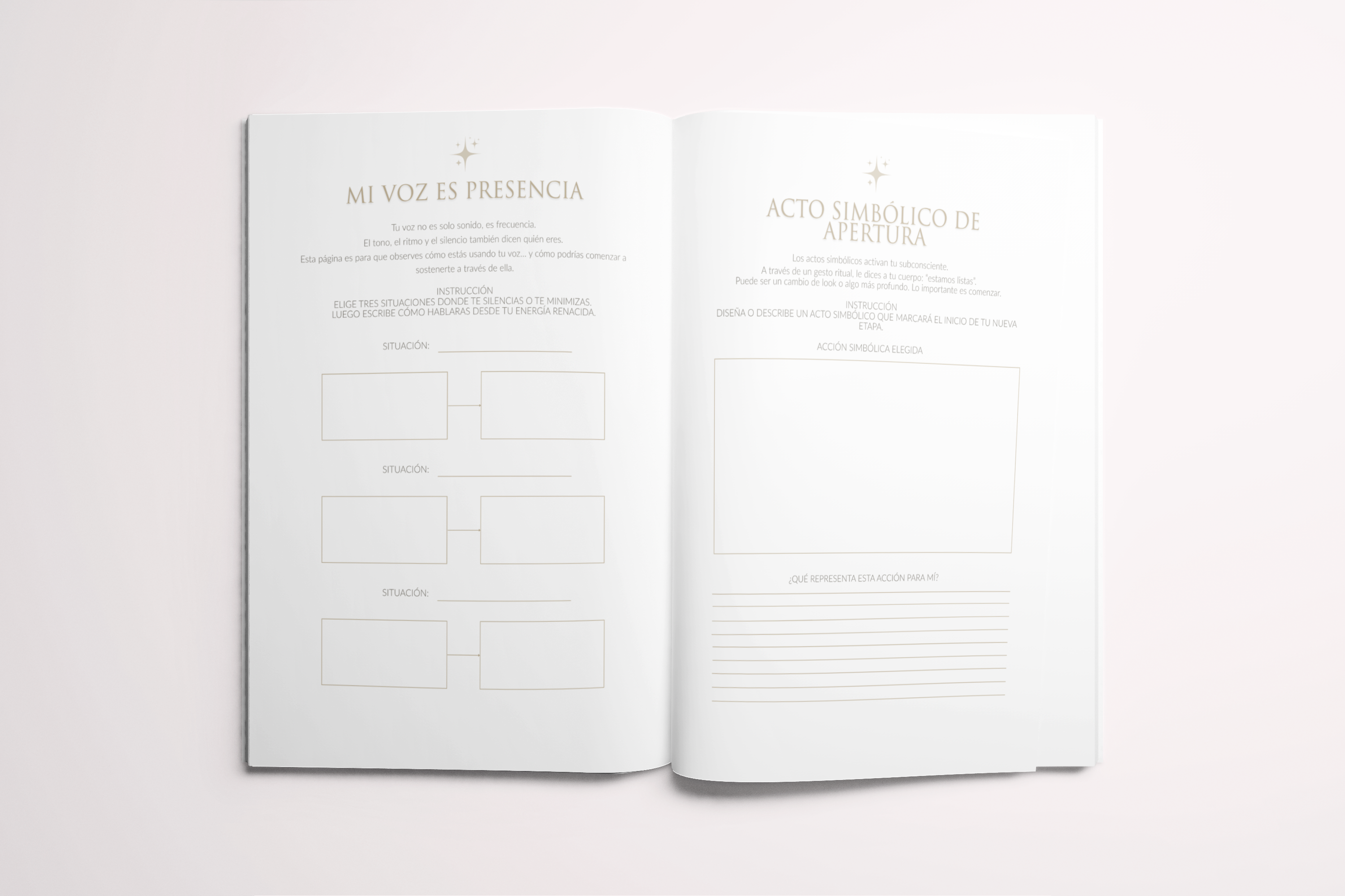 Reborn The Workbook
