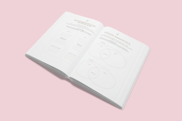 Reborn The Workbook